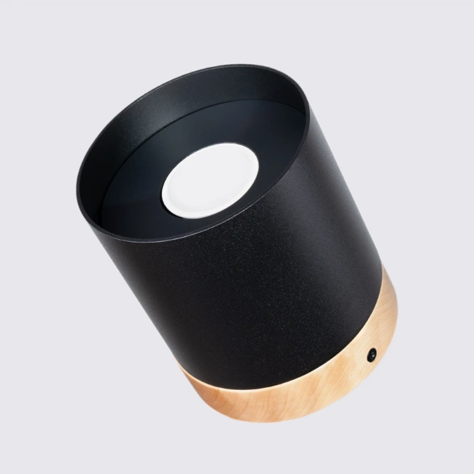 Plafondlamp RIF zwart