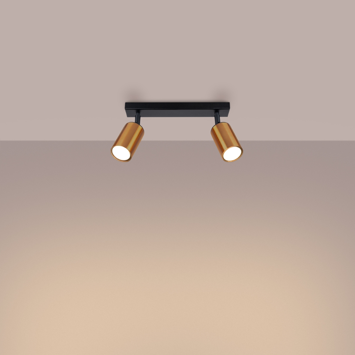 Plafondlamp WINX 2 zwart/co