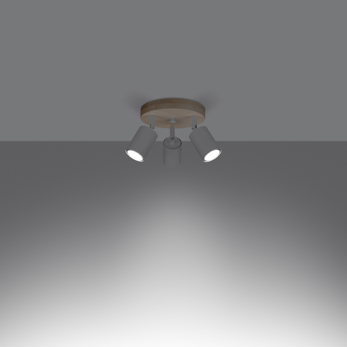 Plafondlamp VERDO 3P wit