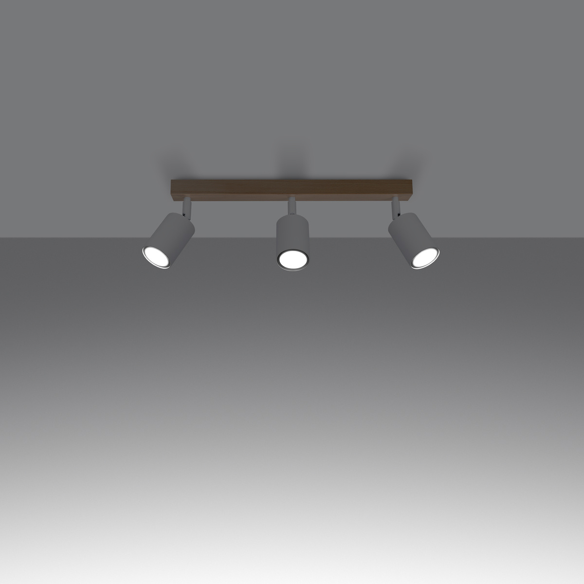 Plafondlamp VERDO 3L wit