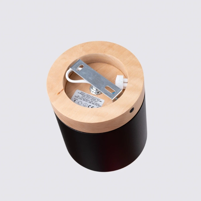 Plafondlamp RIF zwart