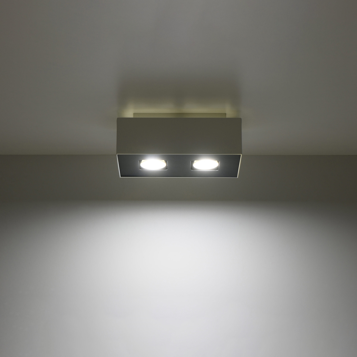 Plafondlamp MONO 2 wit