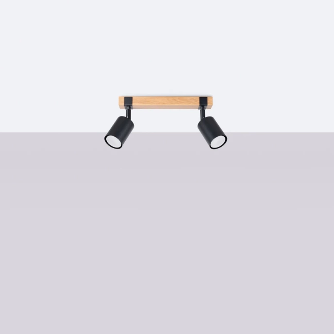 Plafondlamp FAGER 2 zwart