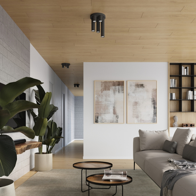 Plafondlamp LAGOS 3P zwart