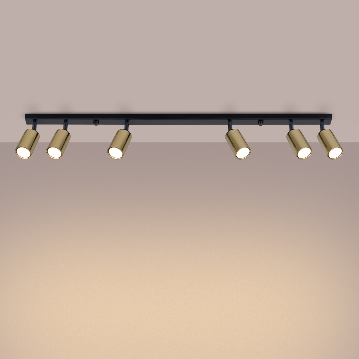 Plafondlamp WINX 6L zwart/goud