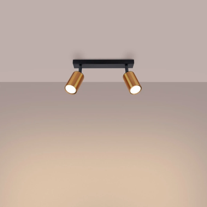 Plafondlamp WINX 2 zwart/co