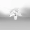 Plafondlamp RING 3P wit
