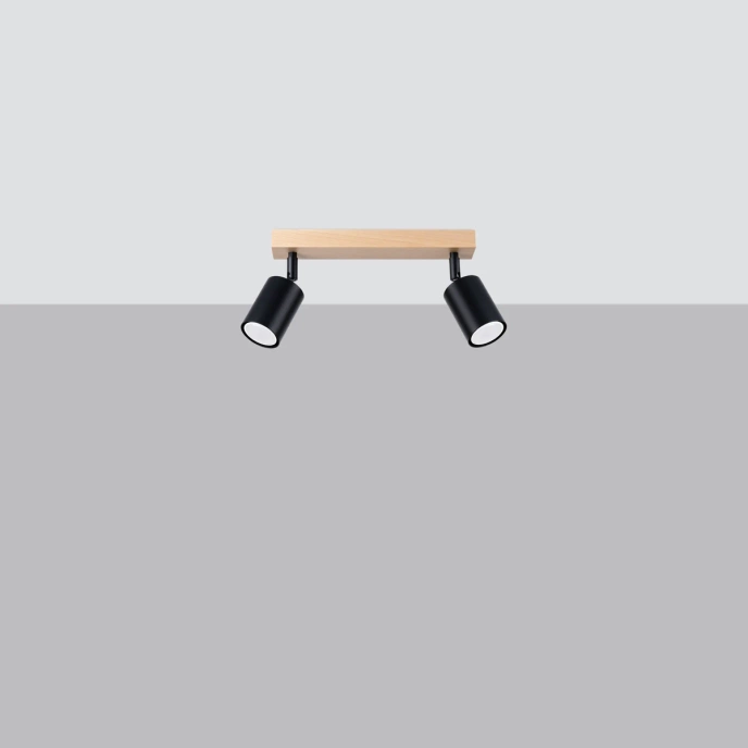 Plafondlamp VERDO 2 zwart