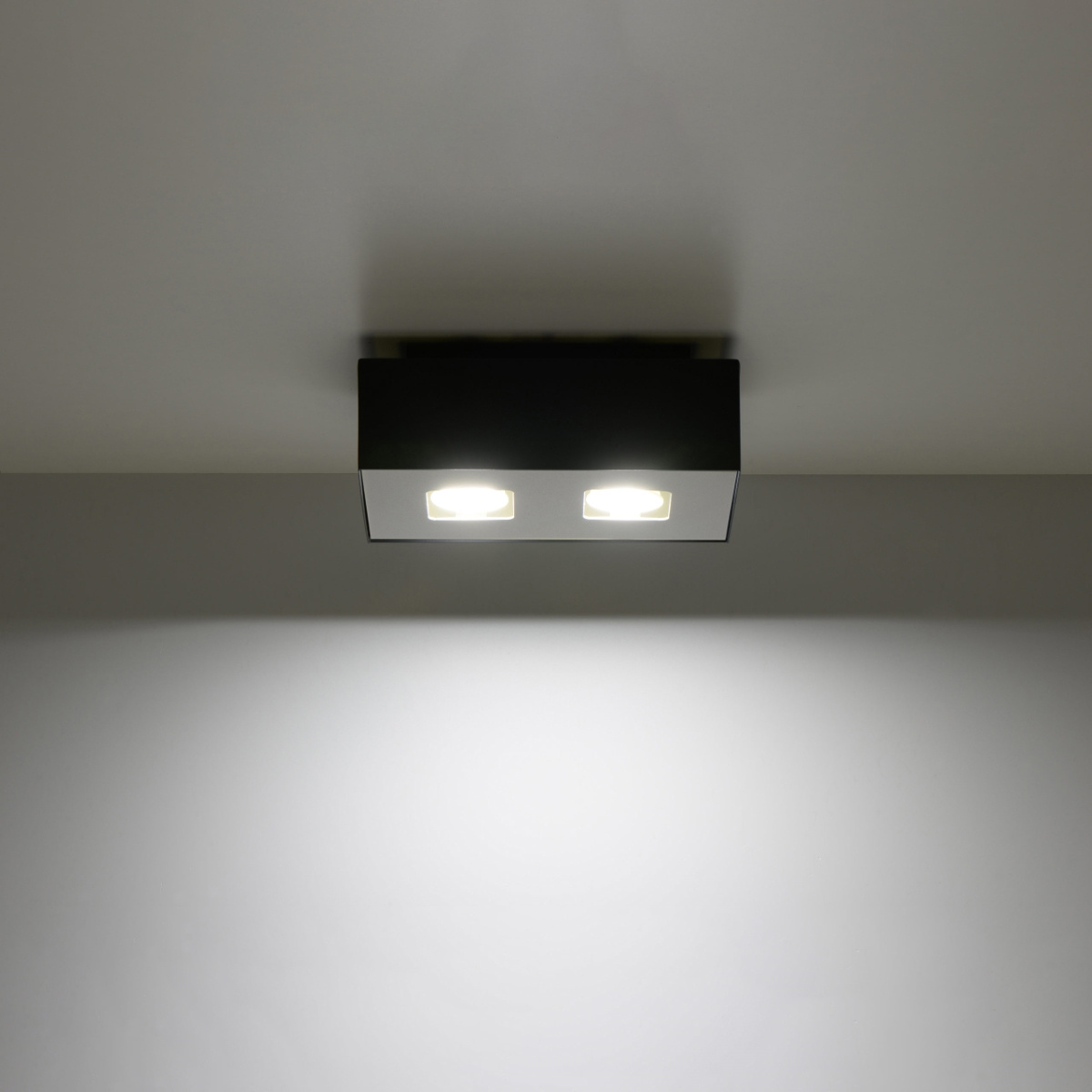 Plafondlamp MONO 2 zwart