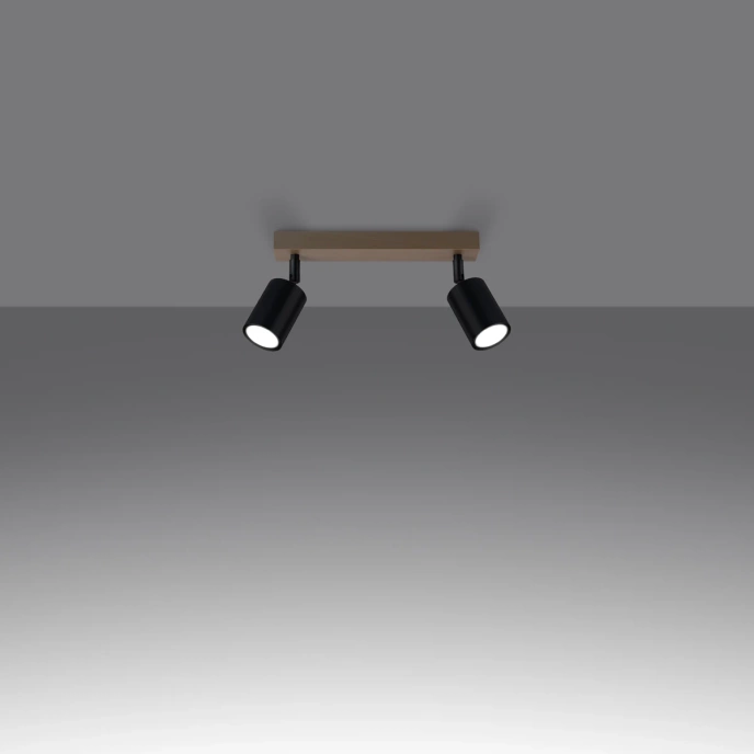 Plafondlamp VERDO 2 zwart