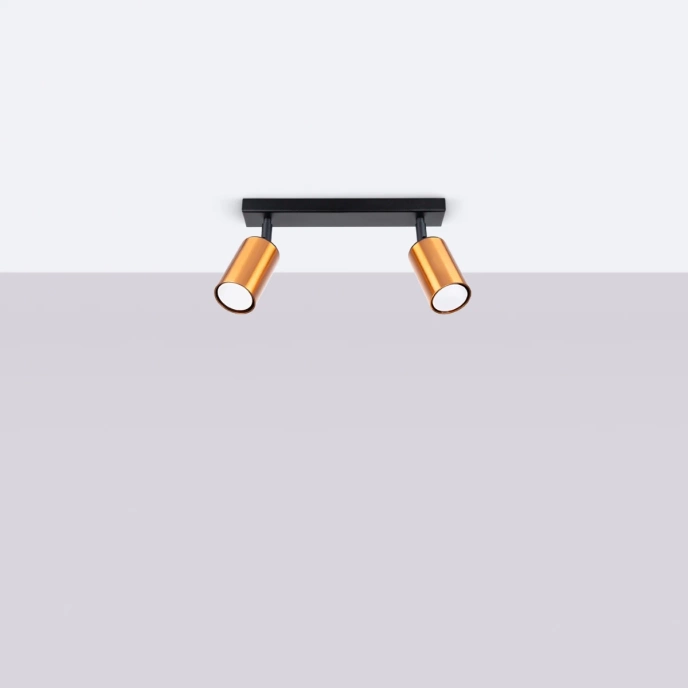 Plafondlamp WINX 2 zwart/co