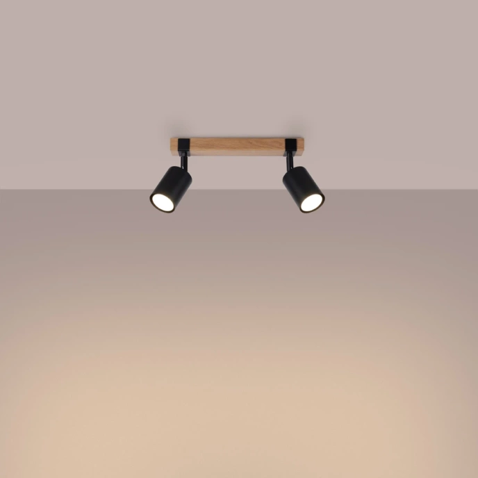 Plafondlamp FAGER 2 zwart