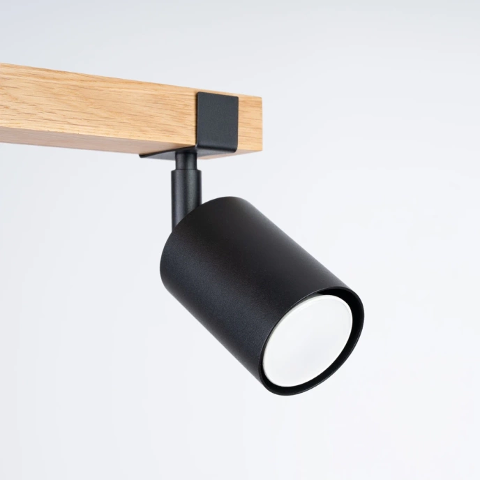 Plafondlamp FAGER 2 zwart