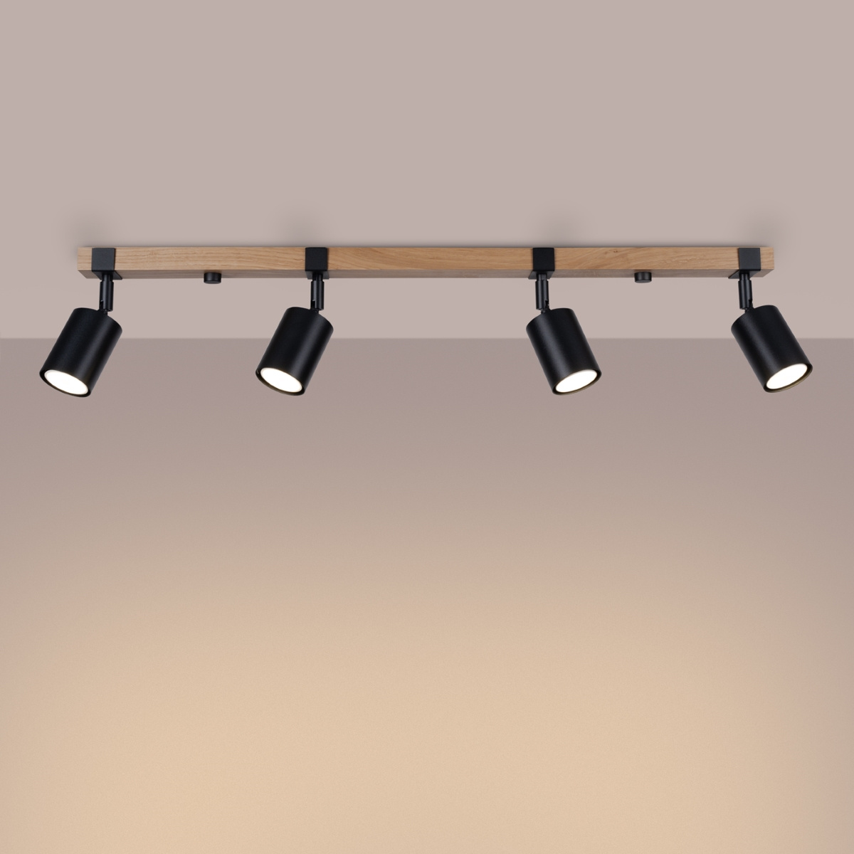 Plafondlamp FAGER 4L zwart