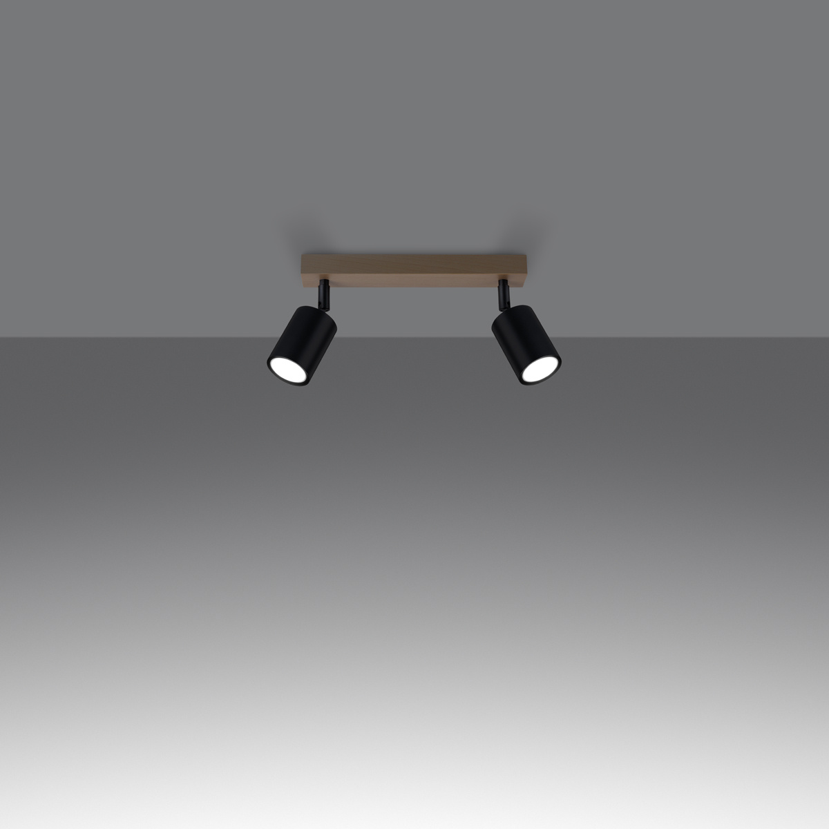Plafondlamp VERDO 2 zwart