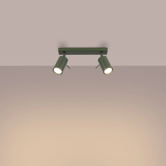 Plafondlamp RING 2 olijfgroen