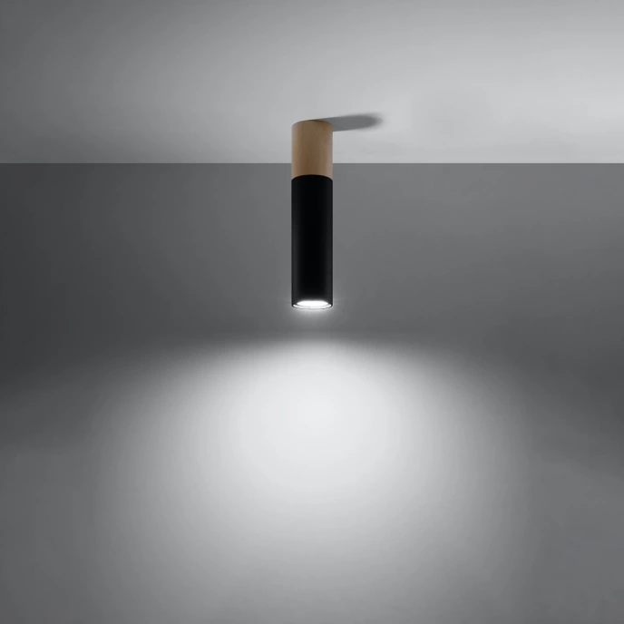 Plafondlamp PABLO zwart