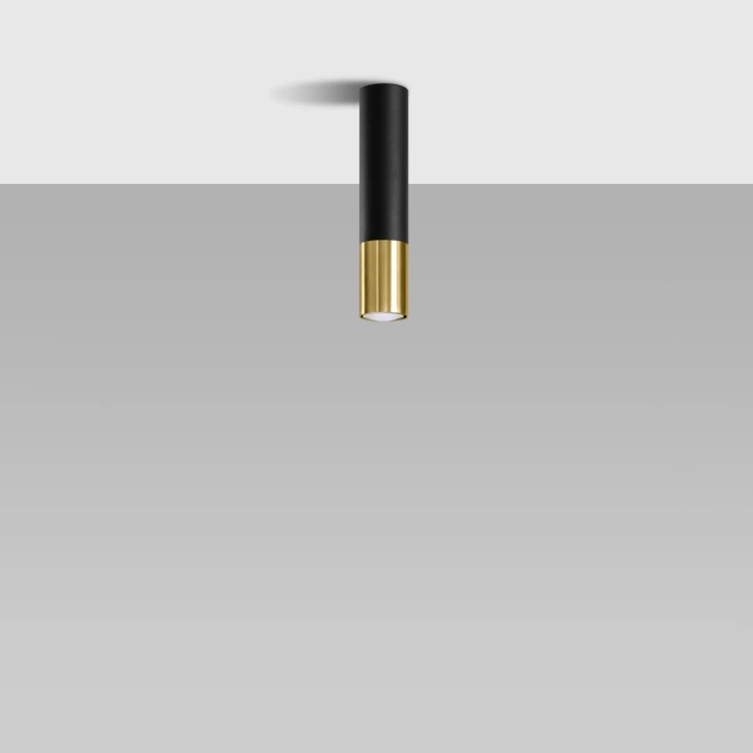 Plafondlamp LOOPEZ zwart/goud