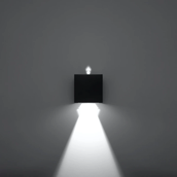 Wandlamp LUCA zwart LED IP54