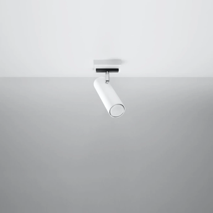 Plafondlamp DIREZIONE 1 wit