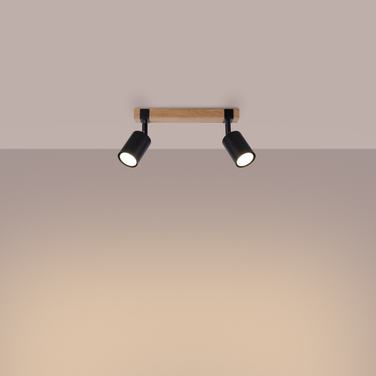 Plafondlamp FAGER 2 zwart