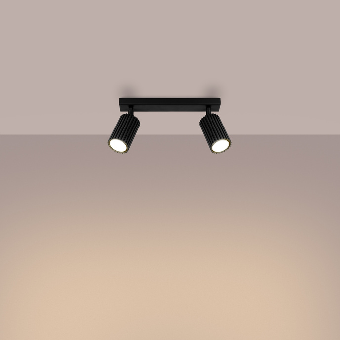 Plafondlamp KARBON 2 zwart