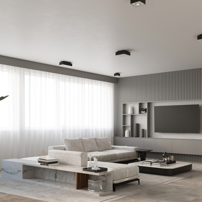 Plafondlamp MONO 3 zwart