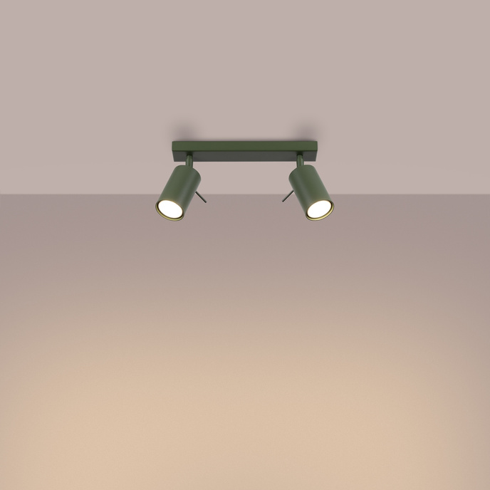 Plafondlamp RING 2 olijfgroen