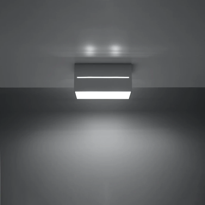 Plafondlamp LOBO 2 grijs