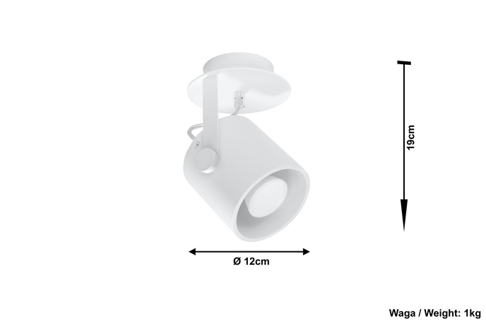 Plafond LAROSA 1 wit