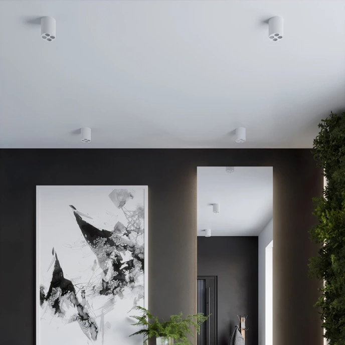 Plafondlamp ZOE wit LED