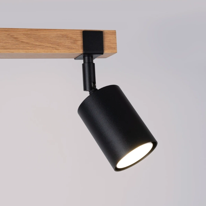Plafondlamp FAGER 2 zwart