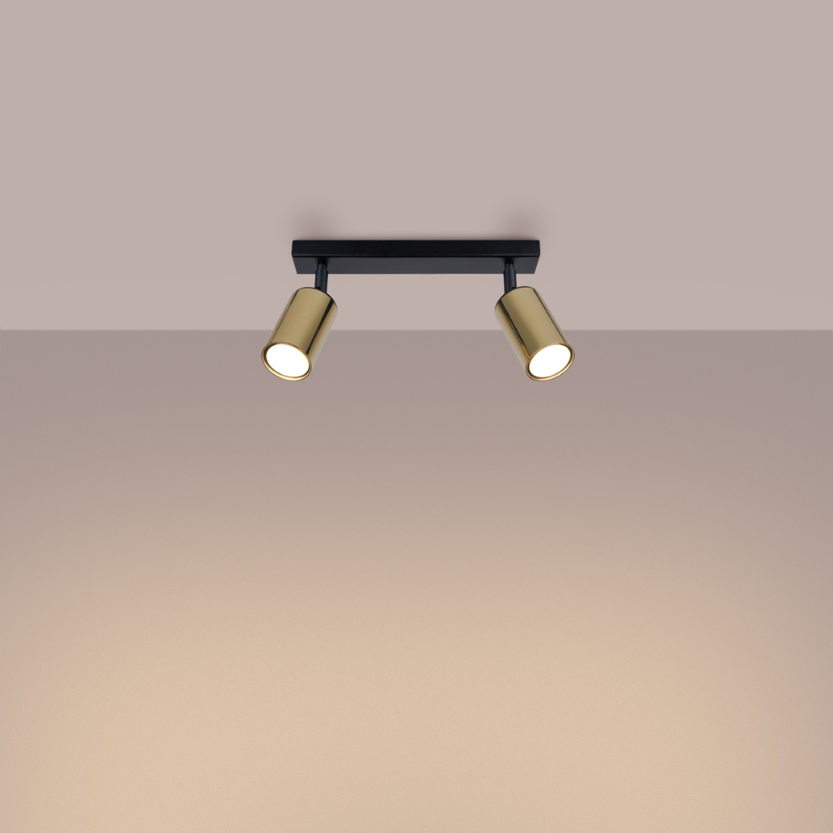 Plafondlamp WINX 2 zwart/goud